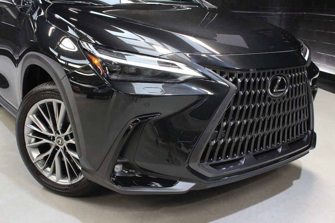 2023 Lexus NX 350