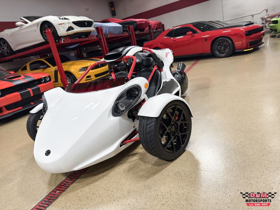 2025 Campagna T-Rex