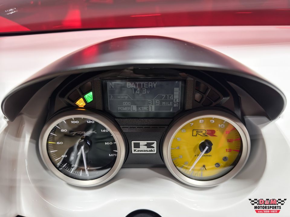 2025 Campagna T-Rex