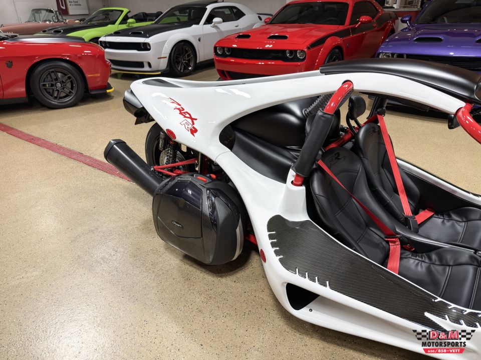 2025 Campagna T-Rex