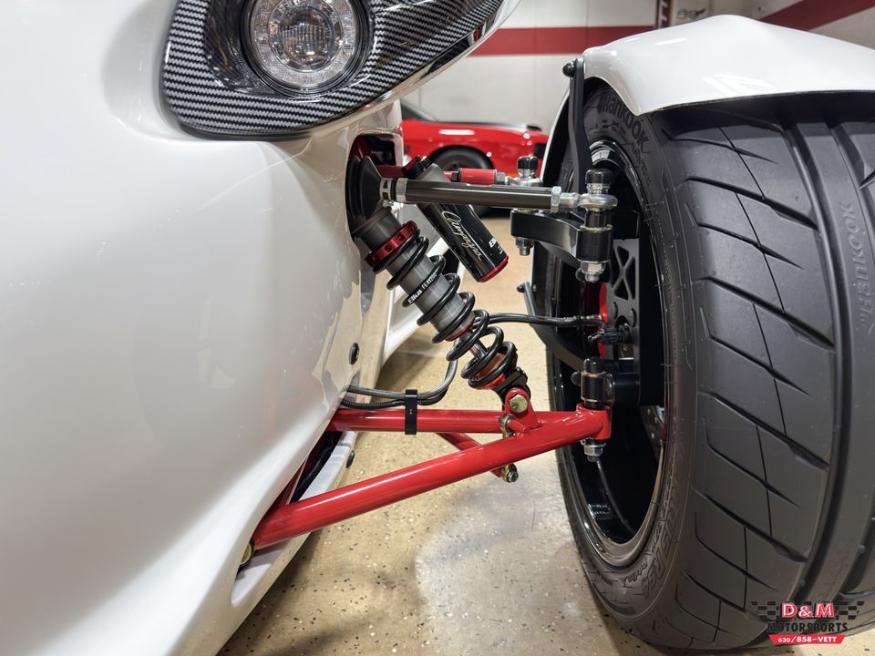 2025 Campagna T-Rex