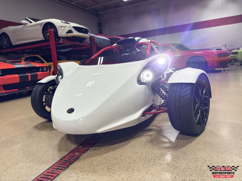 2025 Campagna T-Rex
