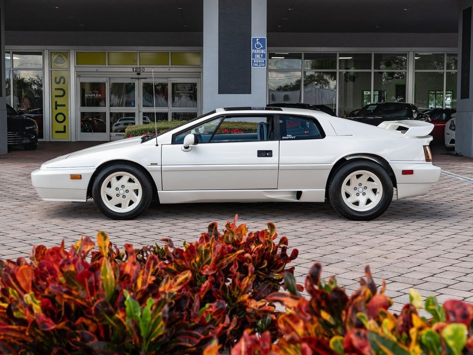 1988 Lotus Esprit