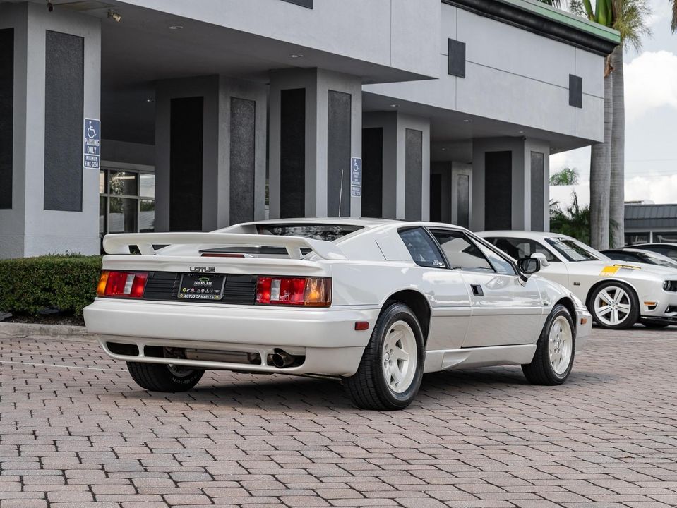 1988 Lotus Esprit