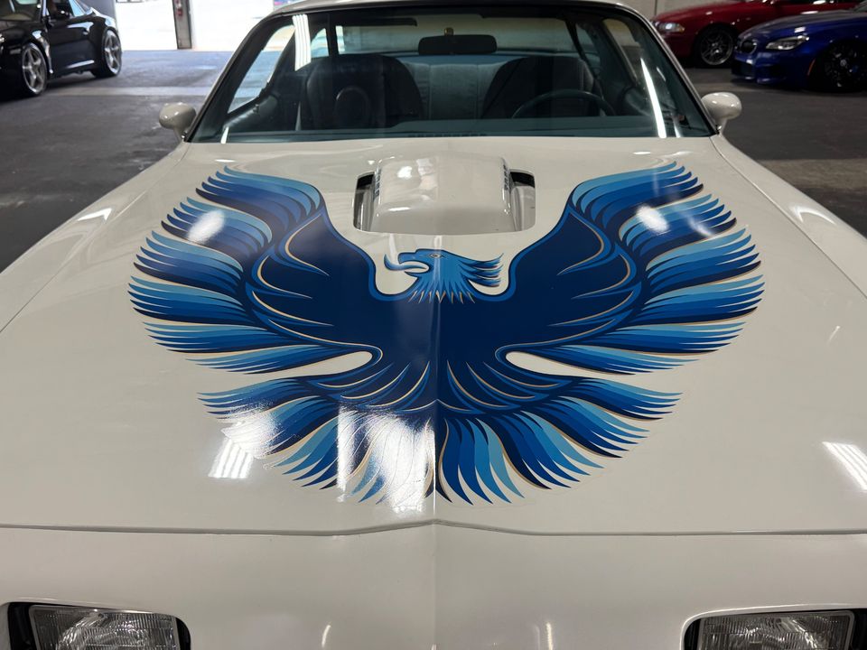 1979 PONTIAC FIREBIRD TRANS