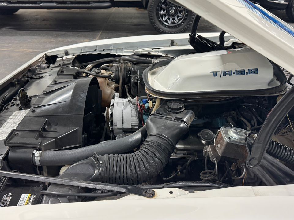1979 PONTIAC FIREBIRD TRANS