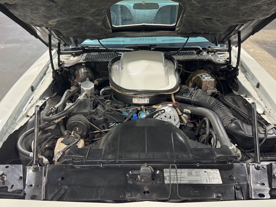 1979 PONTIAC FIREBIRD TRANS