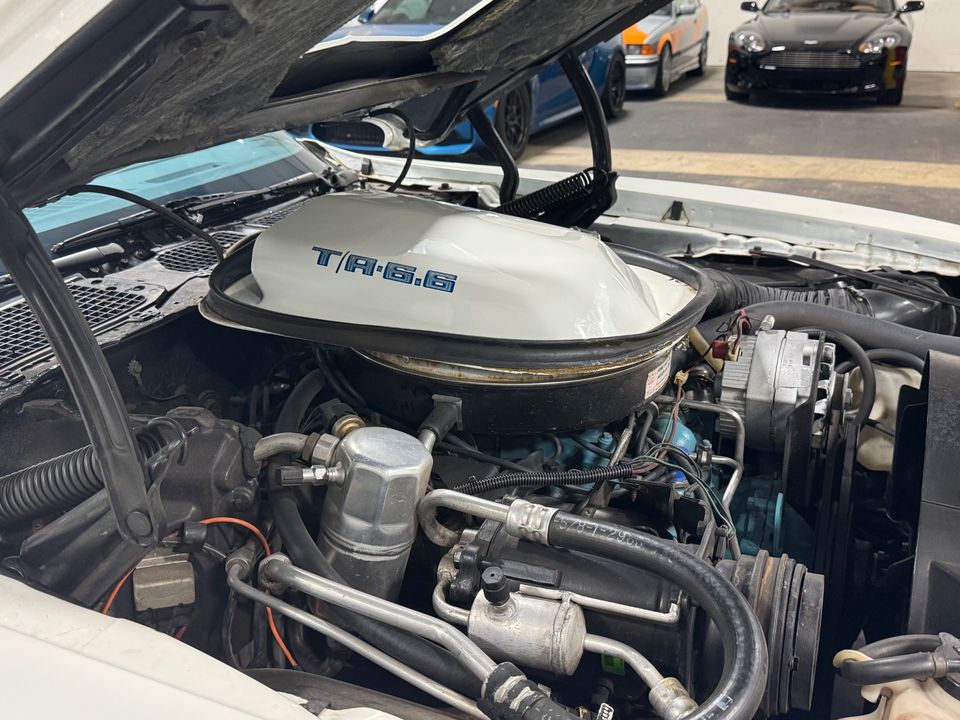 1979 PONTIAC FIREBIRD TRANS