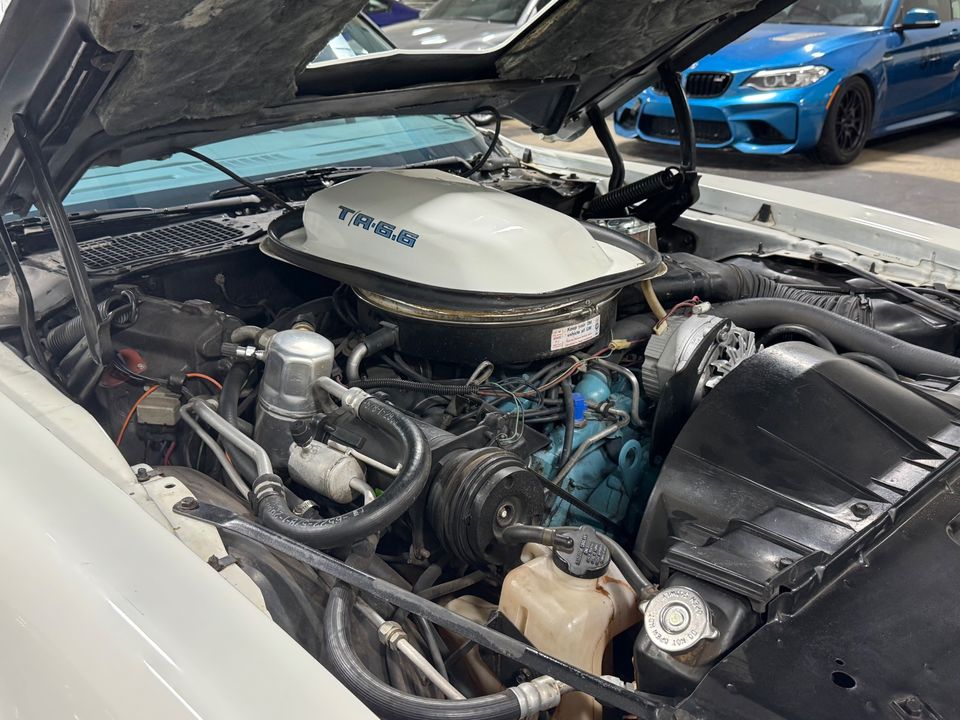 1979 PONTIAC FIREBIRD TRANS