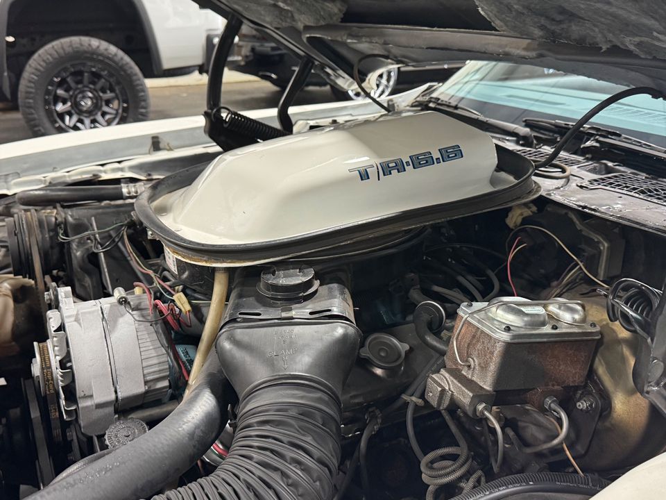 1979 PONTIAC FIREBIRD TRANS