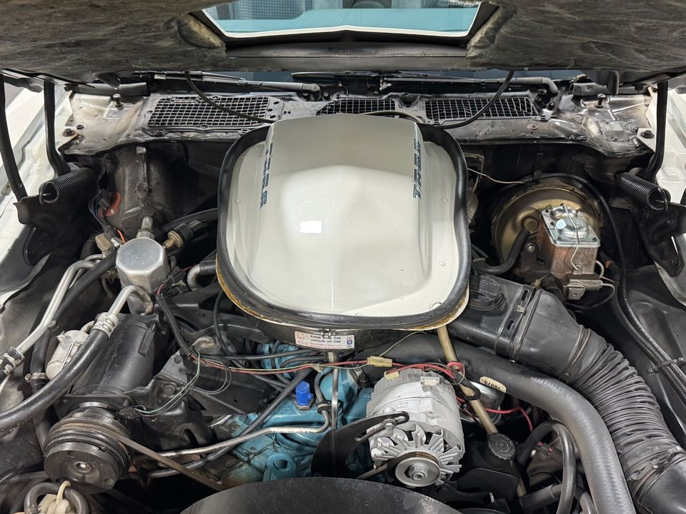 1979 PONTIAC FIREBIRD TRANS