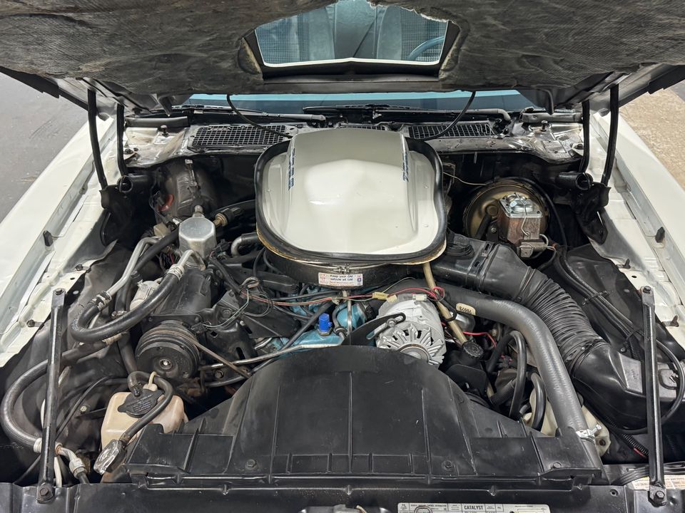 1979 PONTIAC FIREBIRD TRANS