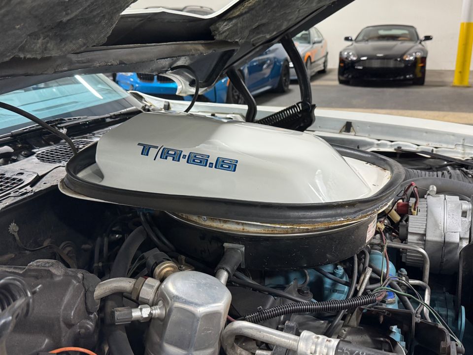 1979 PONTIAC FIREBIRD TRANS