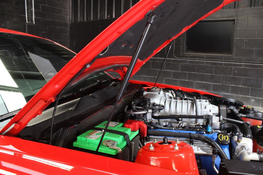 2011 Ford Shelby GT500