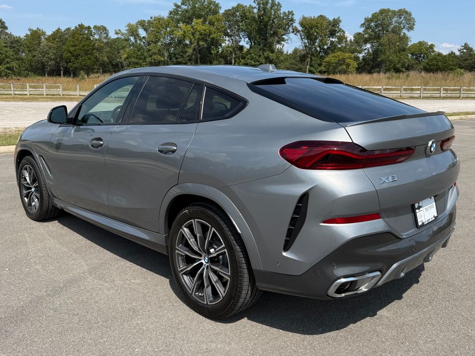 2024 BMW X6