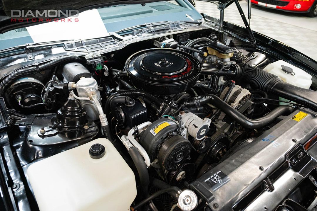 1989 Pontiac Firebird