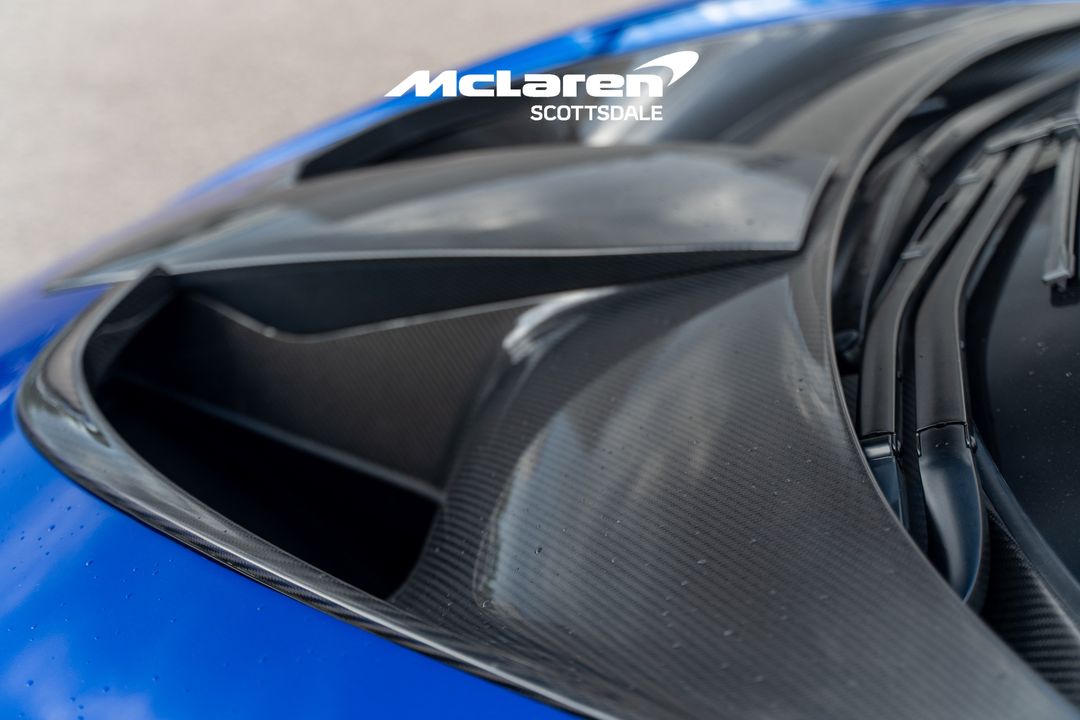 2019 MCLAREN SENNA