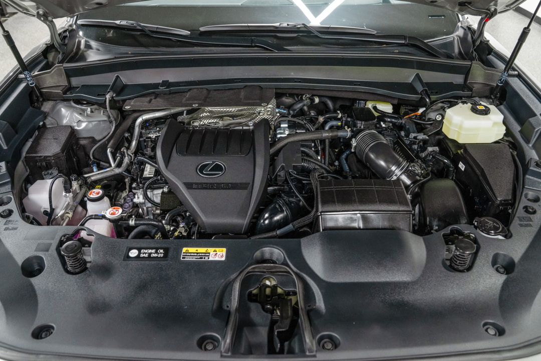 2025 Lexus TX 500h
