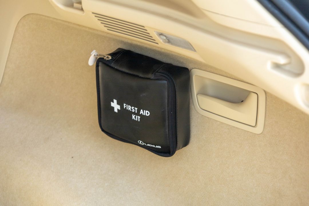 2010 Lexus RX 450h