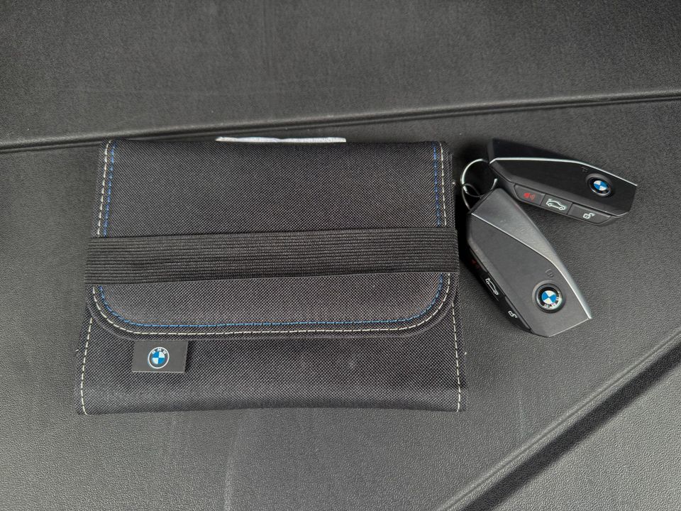 2025 BMW iX