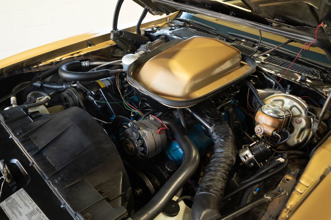 1979 PONTIAC TRANS AM