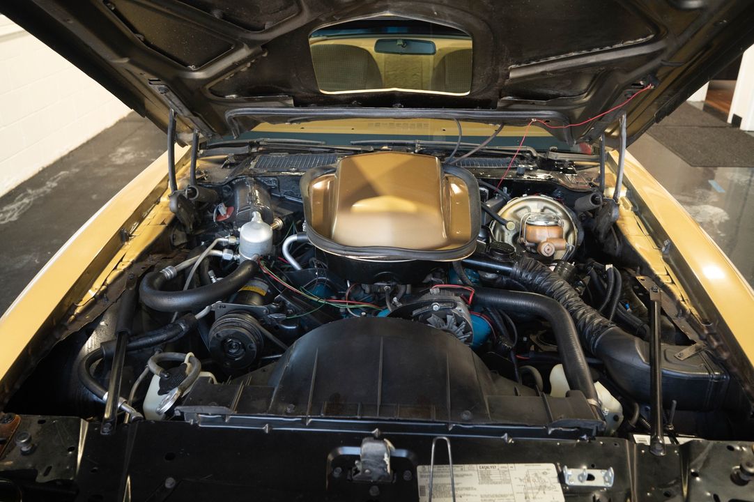 1979 PONTIAC TRANS AM