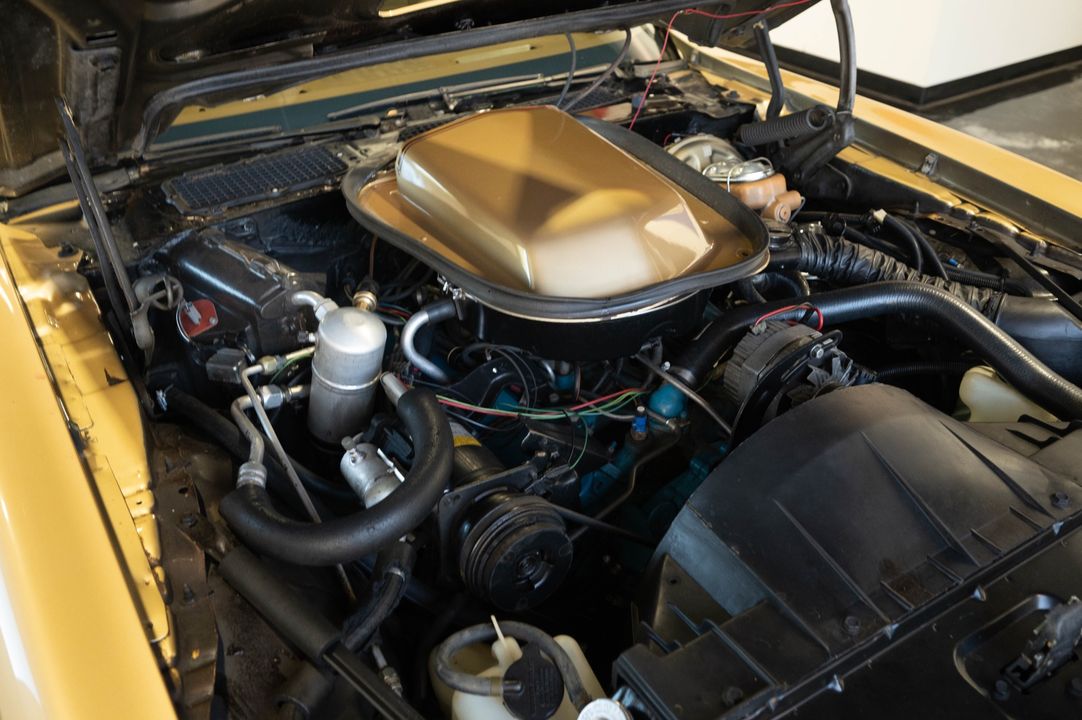 1979 PONTIAC TRANS AM