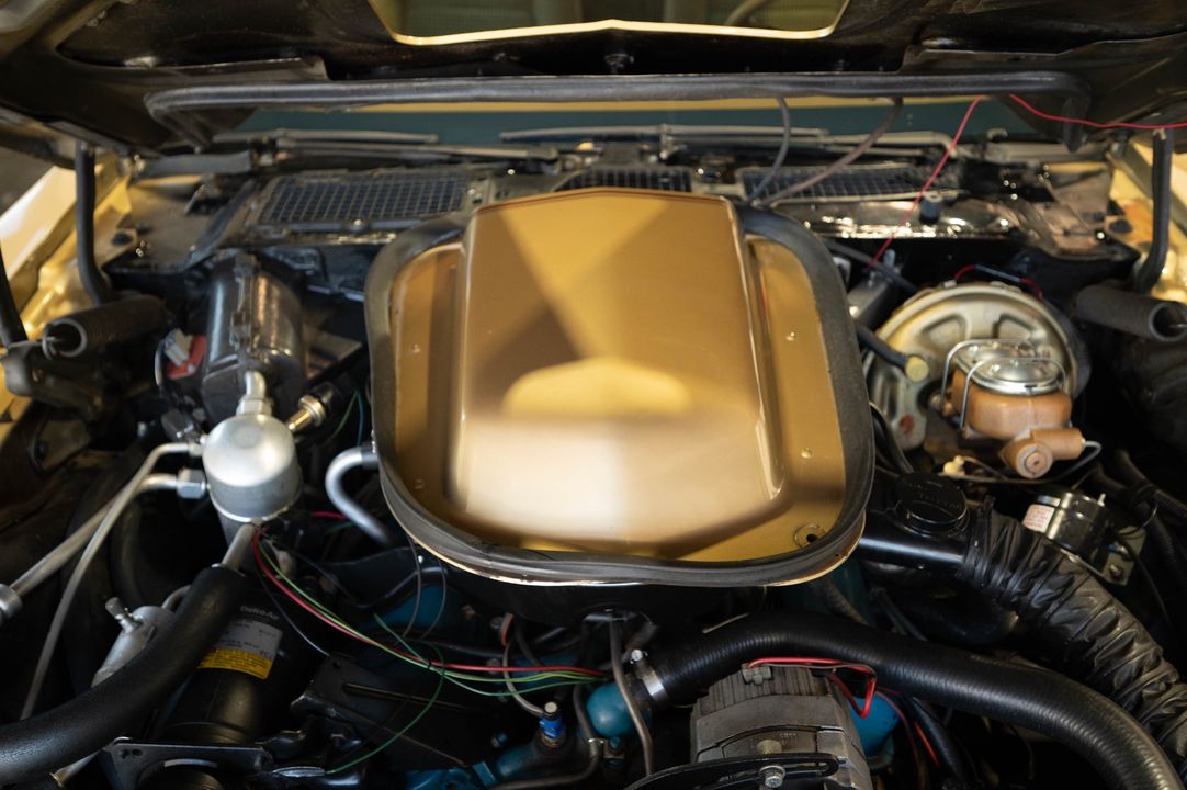 1979 PONTIAC TRANS AM
