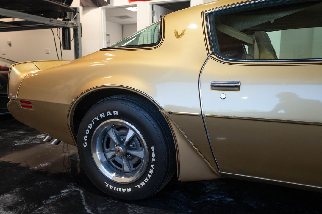 1979 PONTIAC TRANS AM