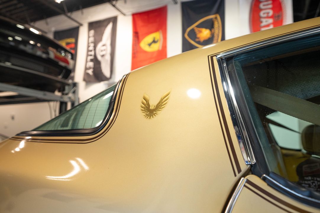 1979 PONTIAC TRANS AM