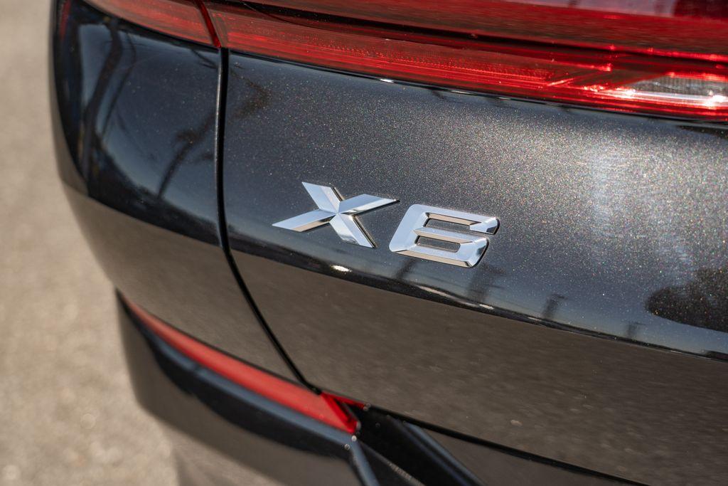 2024 BMW X6