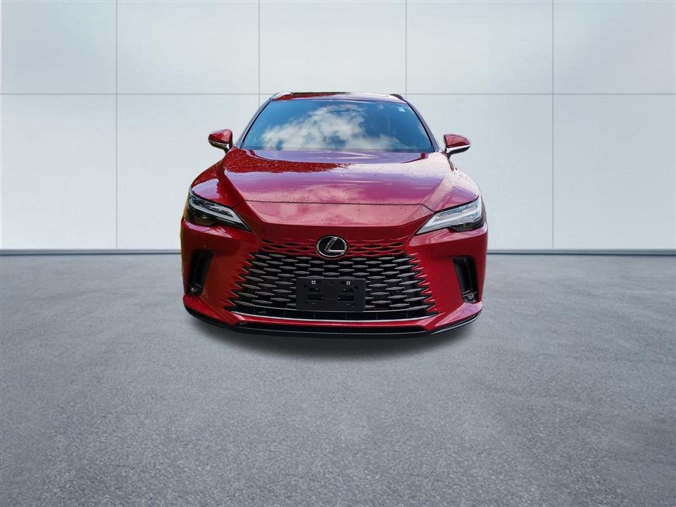 2024 Lexus RX