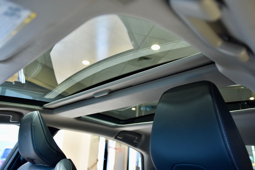 2023 Toyota Prius