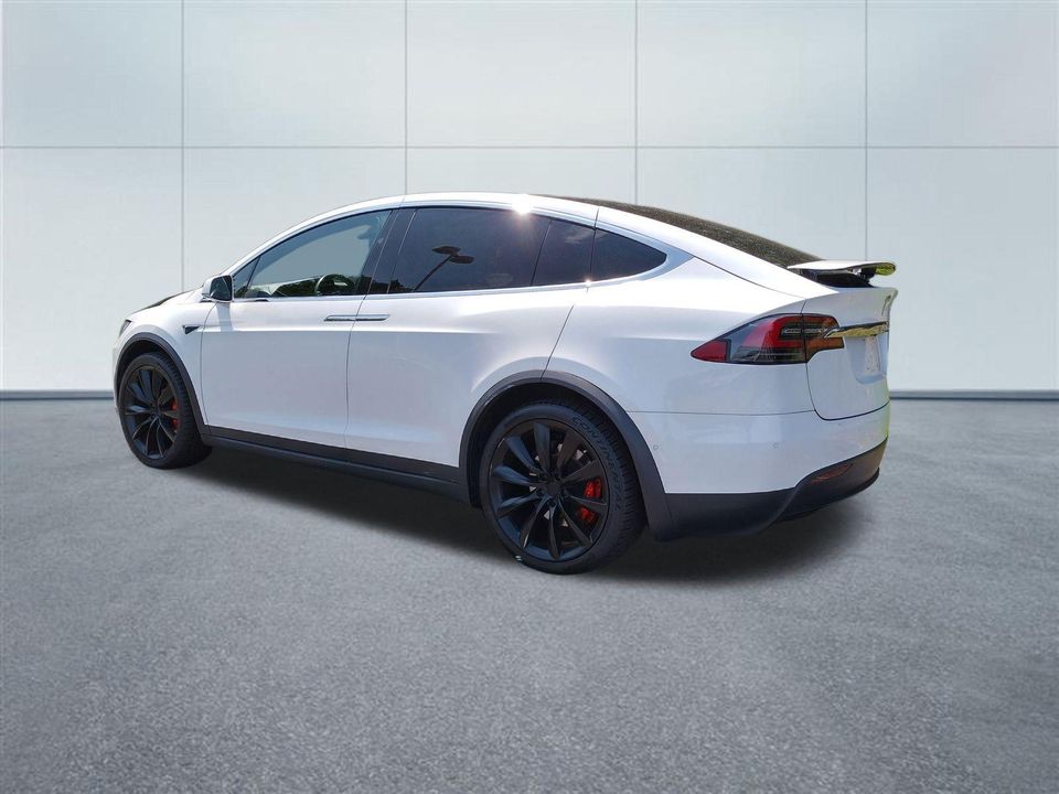 2019 Tesla Model X