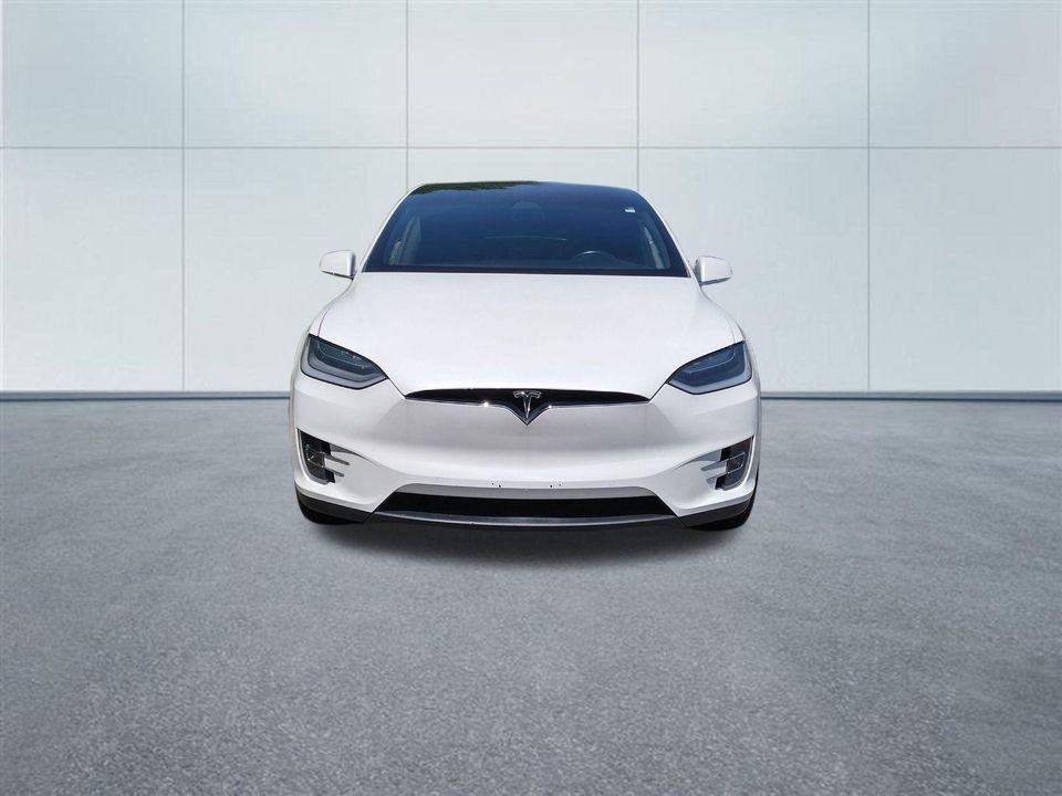 2019 Tesla Model X