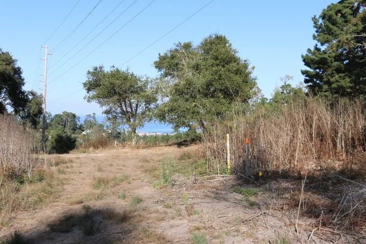 2020 LAND FOR SALE IN CARMEL, CA (OCEAN VIEW) - (PRIME AREA)