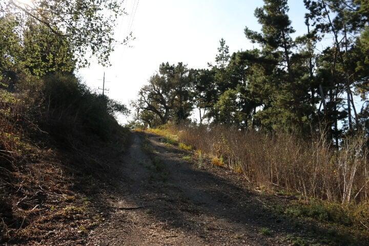 2020 LAND FOR SALE IN CARMEL, CA (OCEAN VIEW) - (PRIME AREA)