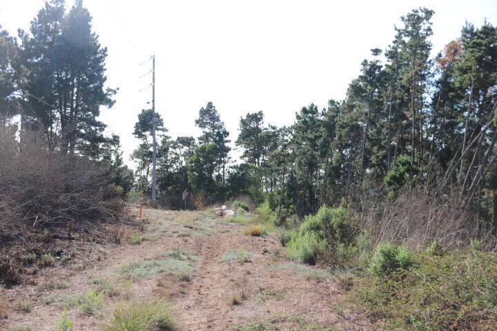 2020 LAND FOR SALE IN CARMEL, CA (OCEAN VIEW) - (PRIME AREA)