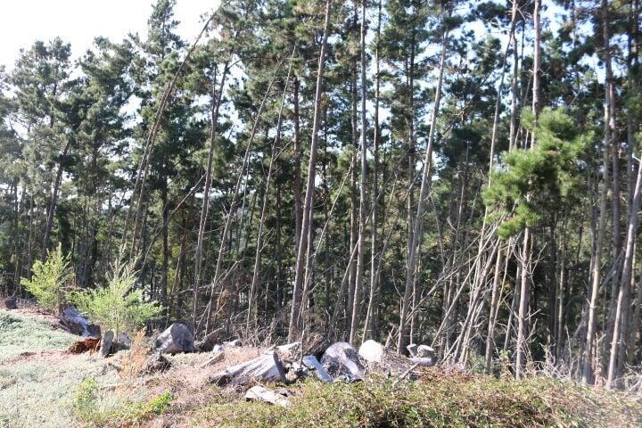 2020 LAND FOR SALE IN CARMEL, CA (OCEAN VIEW) - (PRIME AREA)