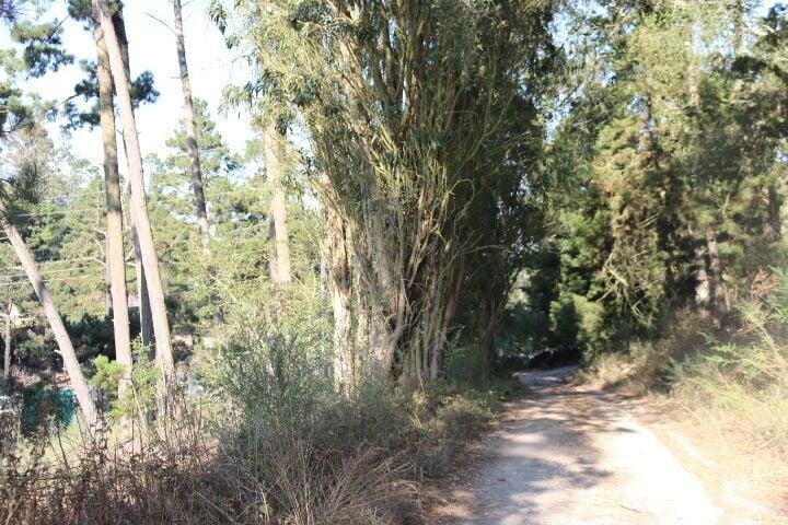 2020 LAND FOR SALE IN CARMEL, CA (OCEAN VIEW) - (PRIME AREA)