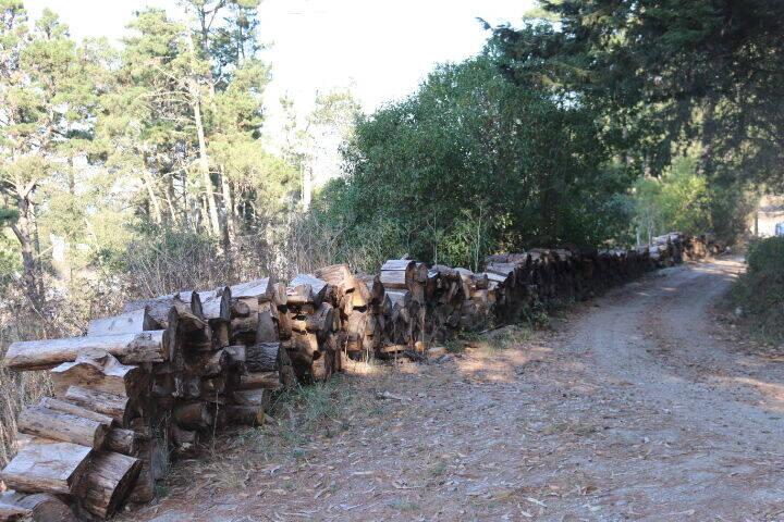2020 LAND FOR SALE IN CARMEL, CA (OCEAN VIEW) - (PRIME AREA)