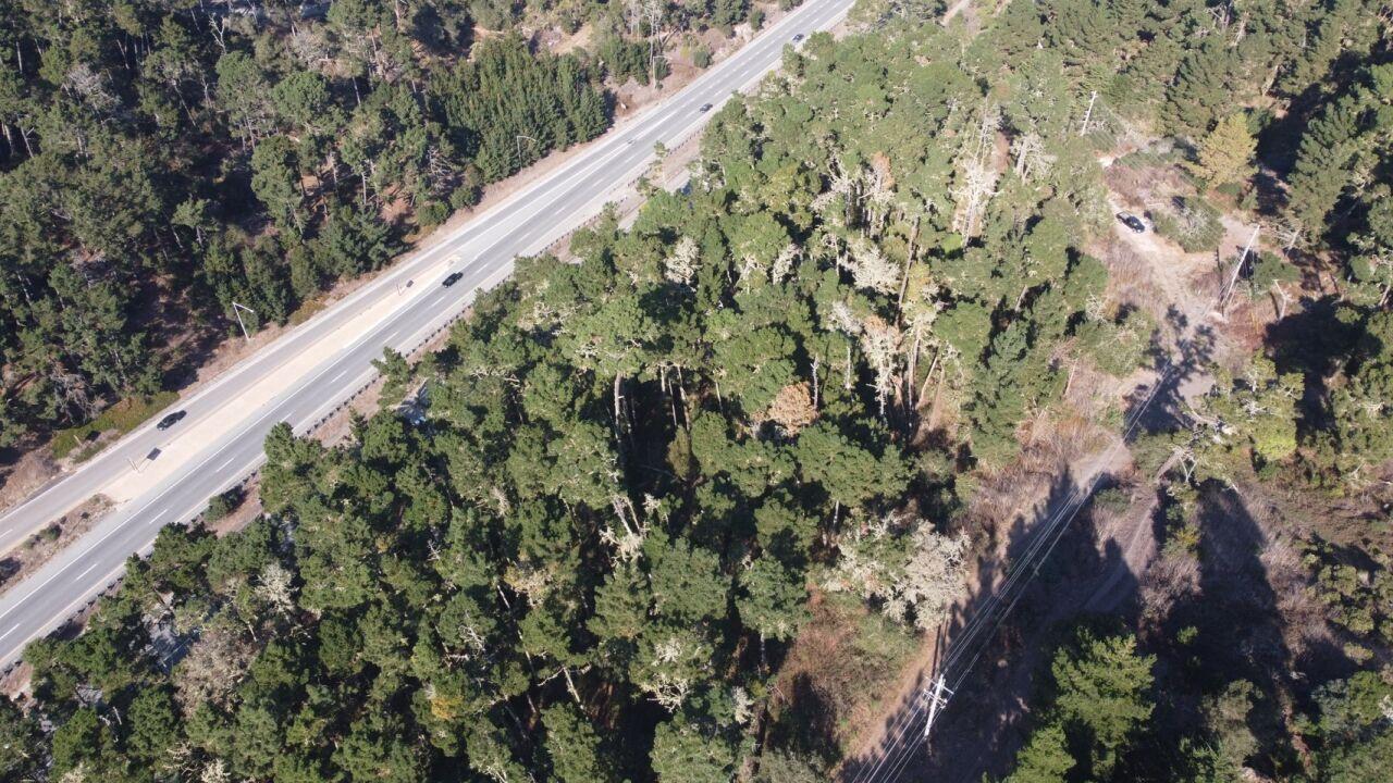 2020 LAND FOR SALE IN CARMEL, CA (OCEAN VIEW) - (PRIME AREA)