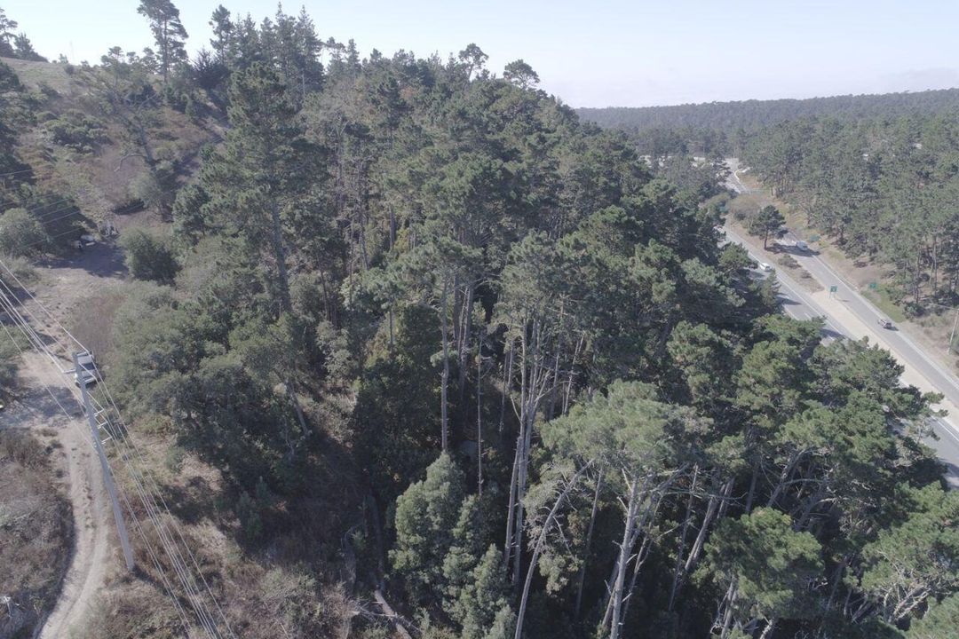 2020 LAND FOR SALE IN CARMEL, CA (OCEAN VIEW) - (PRIME AREA)