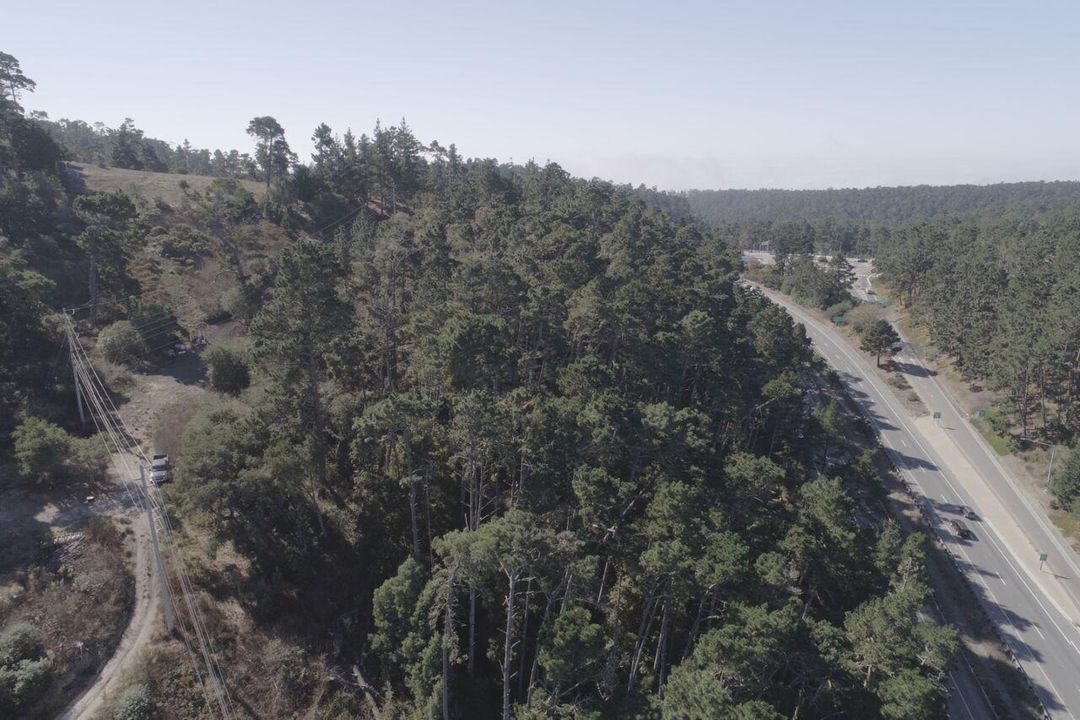 2020 LAND FOR SALE IN CARMEL, CA (OCEAN VIEW) - (PRIME AREA)
