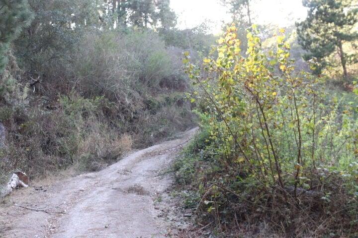 2020 LAND FOR SALE IN CARMEL, CA (OCEAN VIEW) - (PRIME AREA)