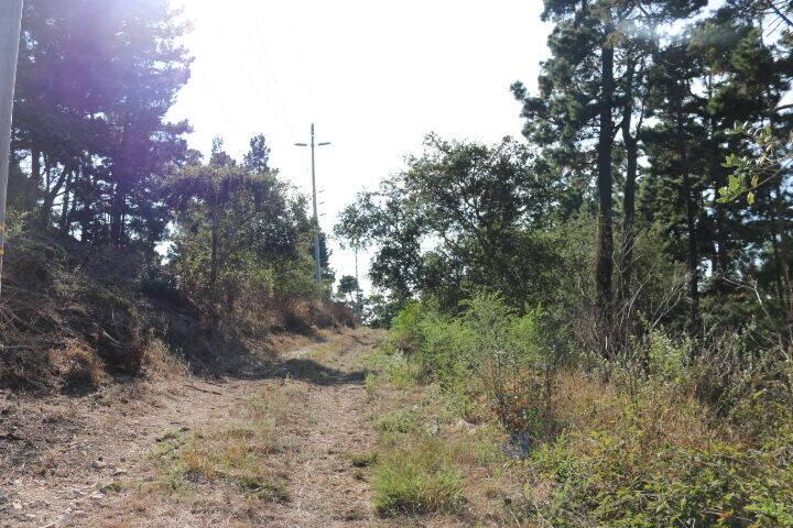 2020 LAND FOR SALE IN CARMEL, CA (OCEAN VIEW) - (PRIME AREA)