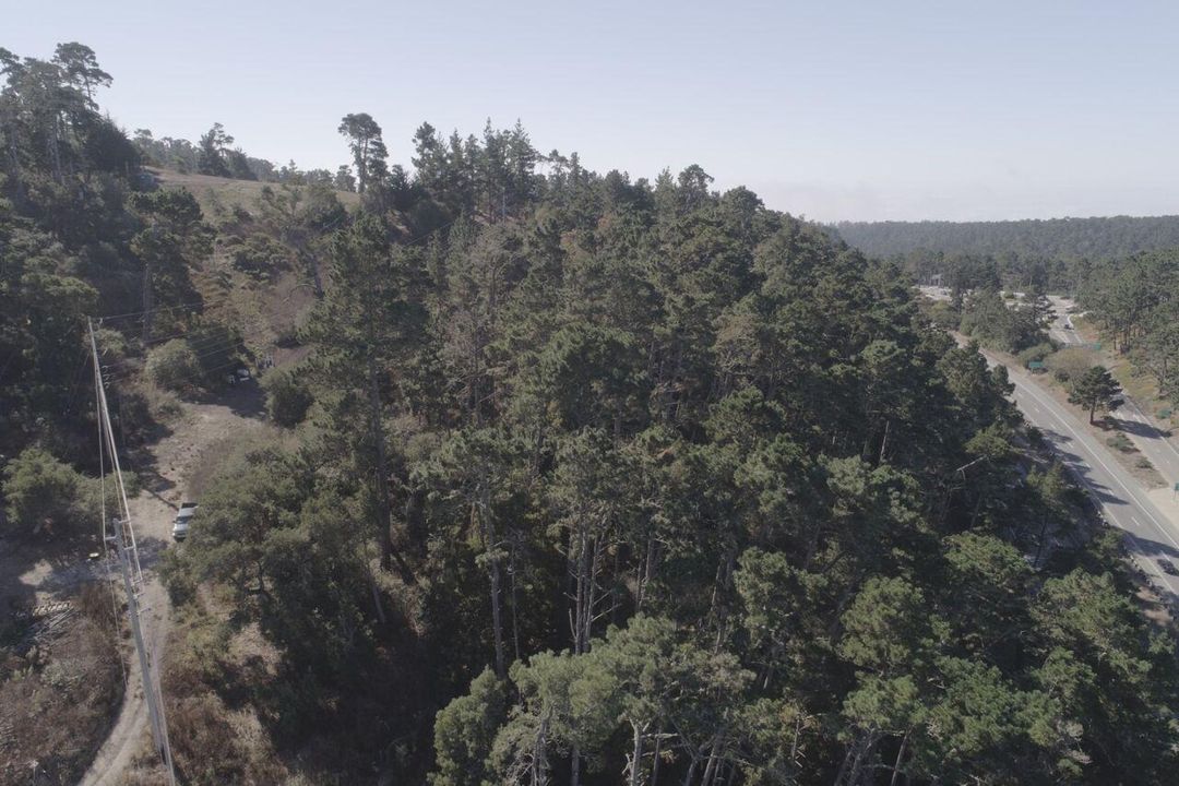 2020 LAND FOR SALE IN CARMEL, CA (OCEAN VIEW) - (PRIME AREA)