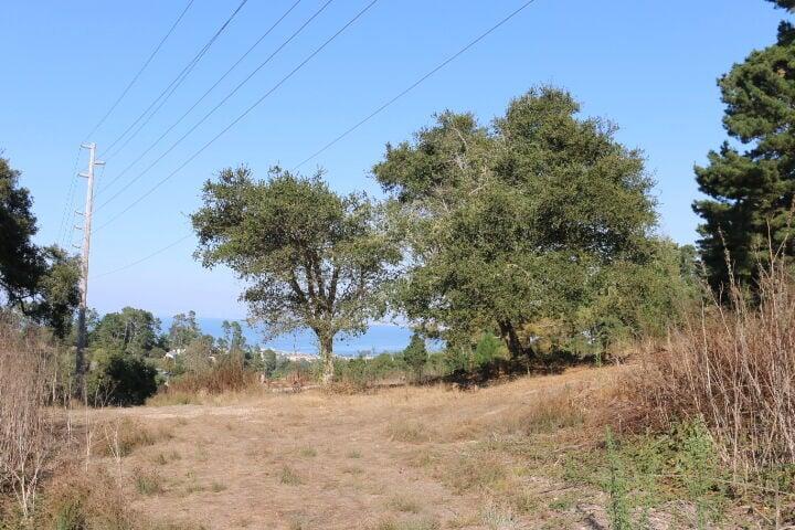 2020 LAND FOR SALE IN CARMEL, CA (OCEAN VIEW) - (PRIME AREA)