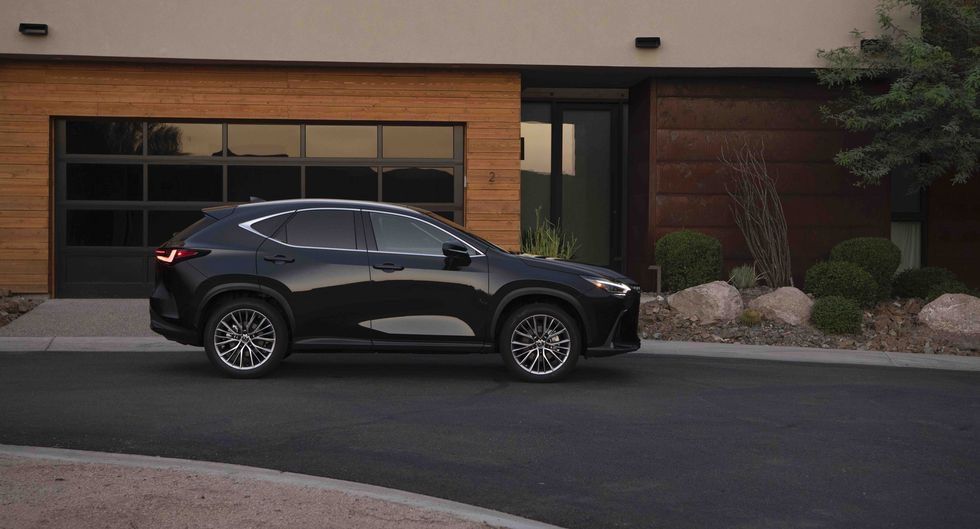 2024 Lexus NX