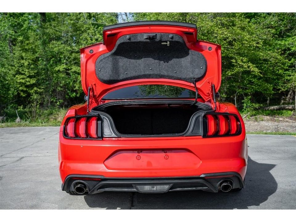 2019 Ford Mustang
